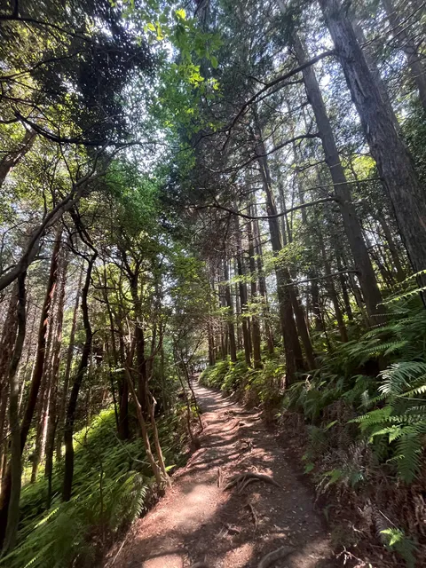 Kyoto Trail Higashiyama 39