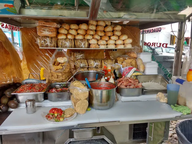 Guacamayas Y Duros San Juan Del Coecillo