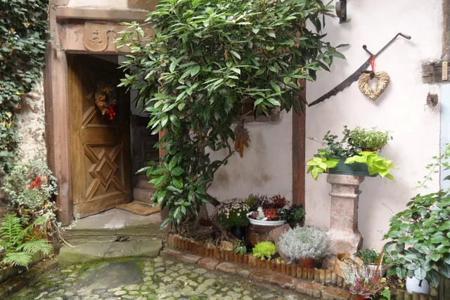 Gîtes Kaysersberg Montagne & Vignoble