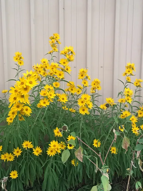 Mountainside United Methodist Church