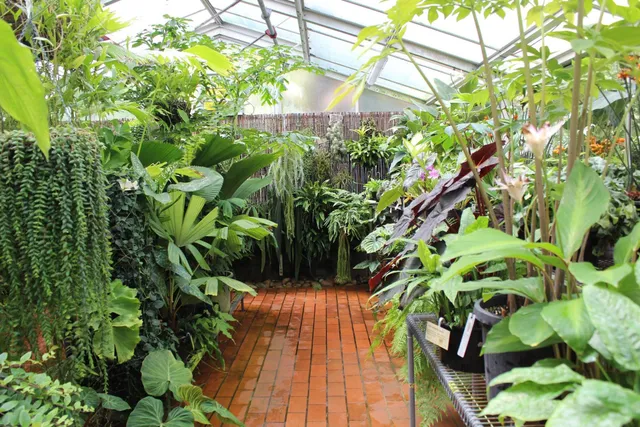 Latitude 23 Glasshouse