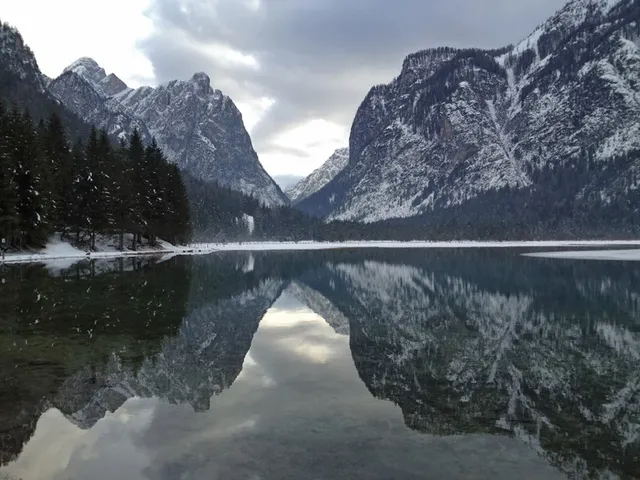 Appartements Haus zur Vogelweide