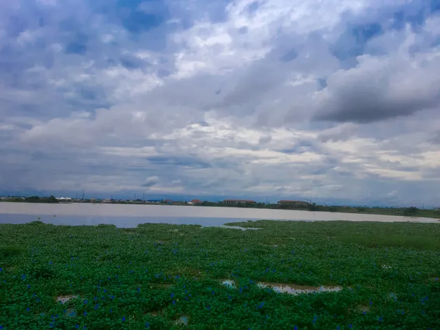 Ox-Bow Lake Pavilion