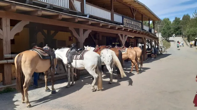 Hasthaushof Reitschule Ferienwohnung Wohnmobil- / Wohnwagenstellplätze
