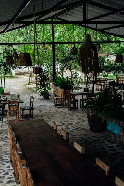 Atemporal | Sabores del Bosque