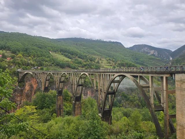 Tara Bridge Guesthouse -пити Каву