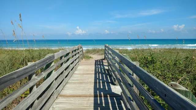 Virginia Forrest Beach