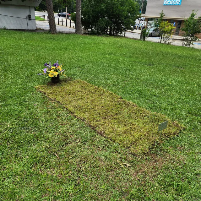 Super-Sod at the Atlanta State Farmers Market