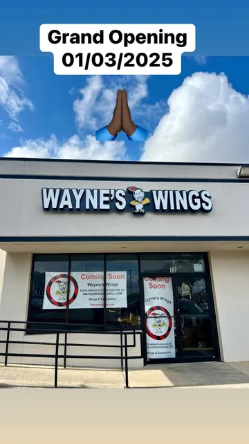Wayne's Wings #3