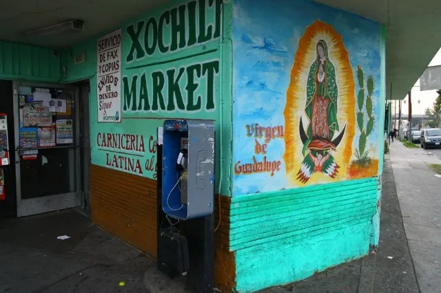Xochitl Market
