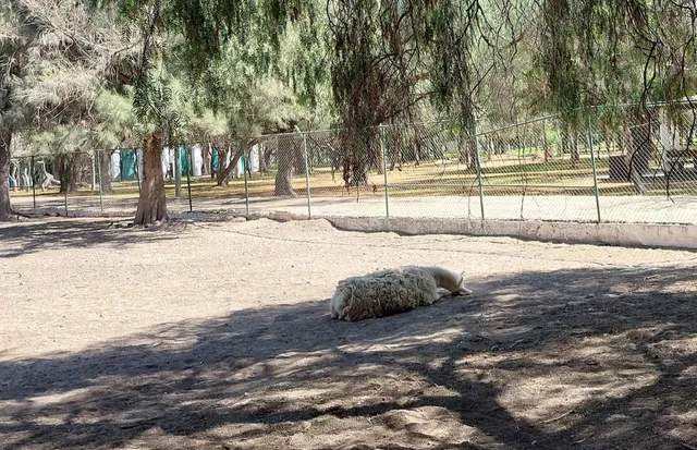 Tangamanga zoo park 2