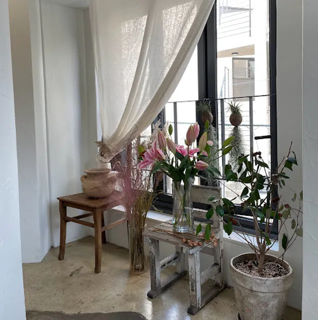 디어모먼트 Dear Moment