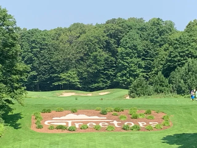 Treetops North Gaylord Michigan