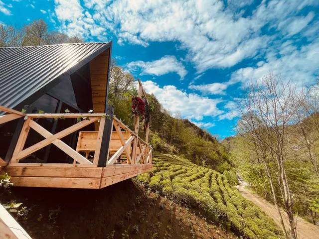 Aliki 2+1 Suit | Rize Bungalov