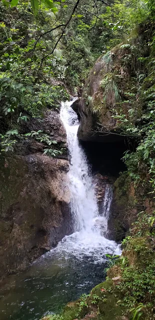 China National Reserve Hunan Mang Mountain