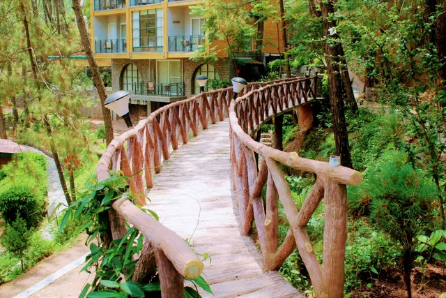 Kasauli Hills Resort - Best Luxury Resort and Hotel