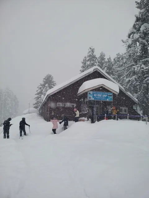 Gulmarg Backcountry Ski & Snowboard school, The best Ski , Snowboard, Guides & instructors in Gulmarg