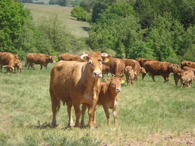 Valentinushof Fam. K.Klein-Maas