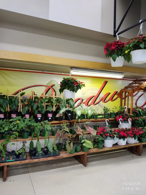 Commissary - Fort Buchanan