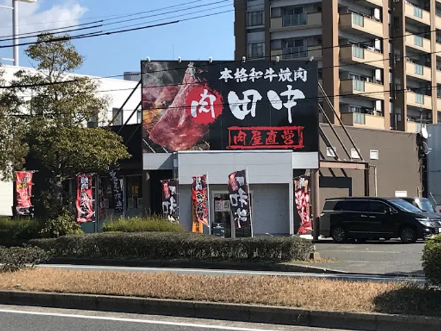 photo-1