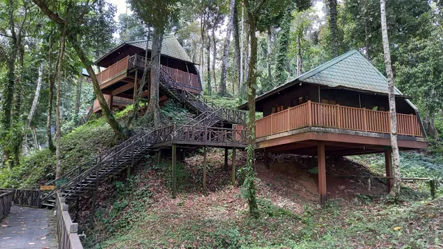 Tabin Wildlife Resort Lahad Datu, Sabah.