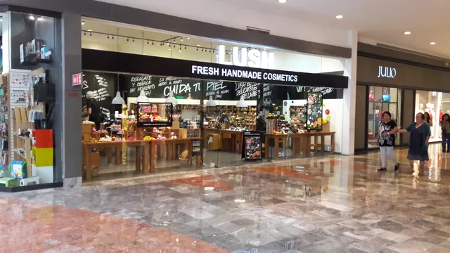 LUSH FRESH HAND MADE COSMETICS