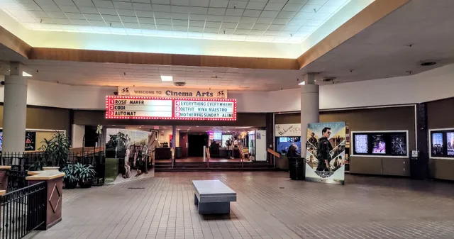 Cinema Arts Theatres