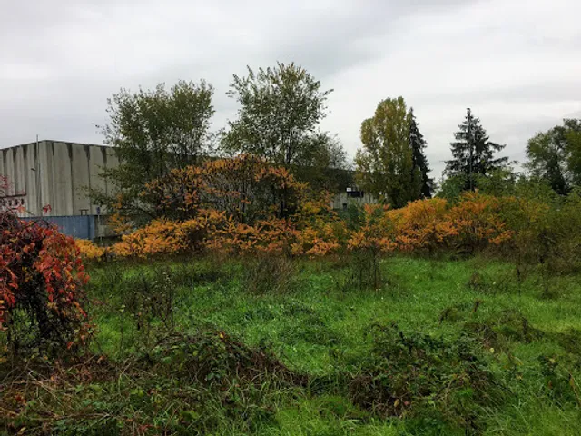 Bar Royal Tabaccheria Di Cervini Morena