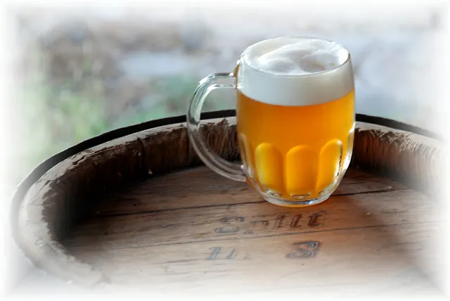 Pivovar Špitt - kurzy vaření piva, stylové ubytování u Labské cyklostezky