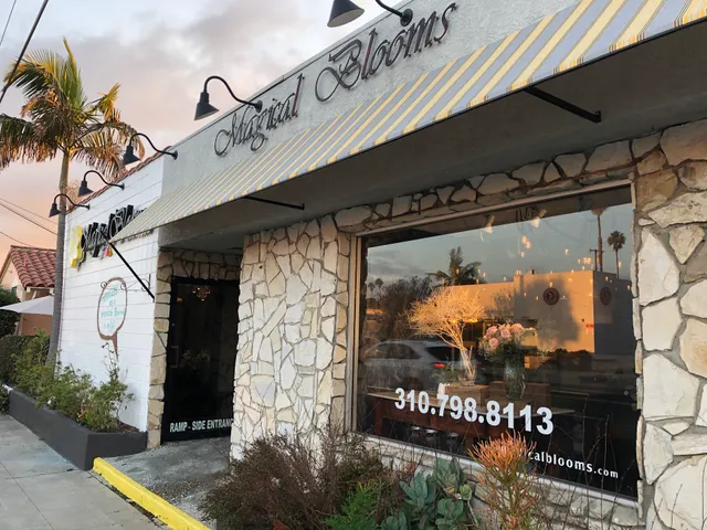 Jenny Barker The Flower Doctor Magical Blooms