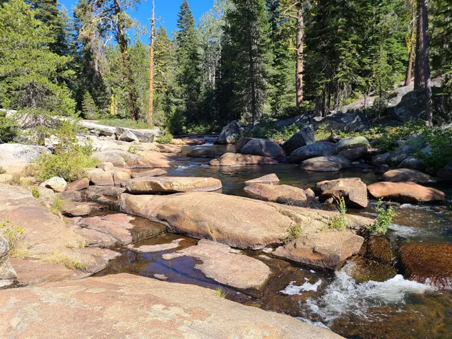 Stanislaus River Campground
