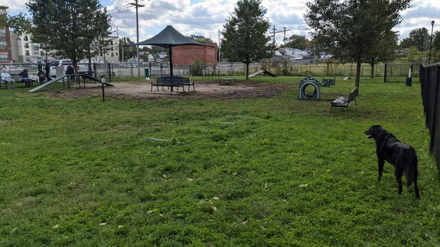 Downtown Dog Park