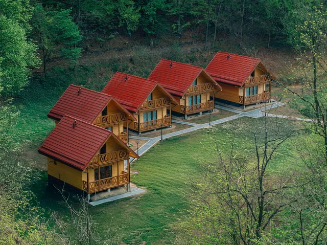 Agroturystyka i Domki Pod Jesionem