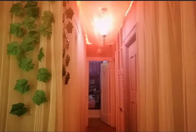 Angel Wings Love Spa