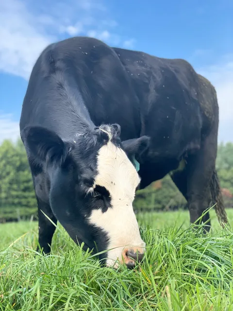 Third Day Farm, LLC.