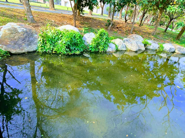 高雄大學生態池