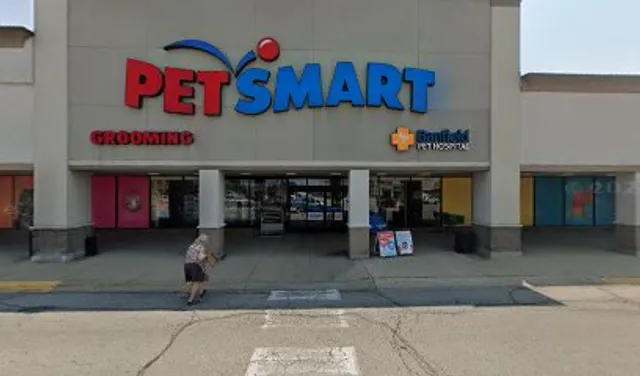 All 4 The Love Of Cats