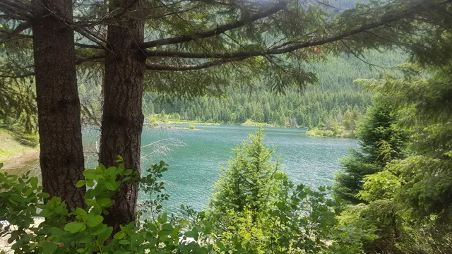 Gold Creek Pond Interpretive Site