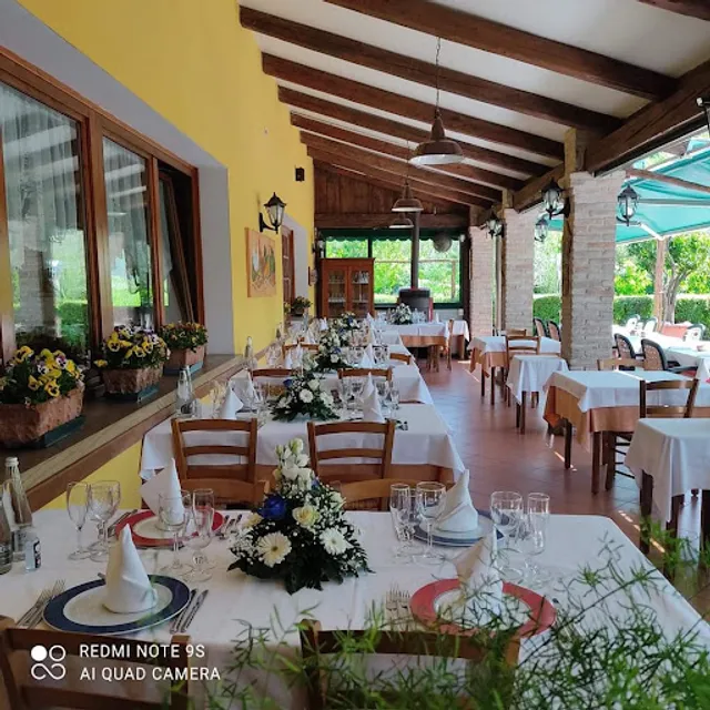 Trattoria alla vigna