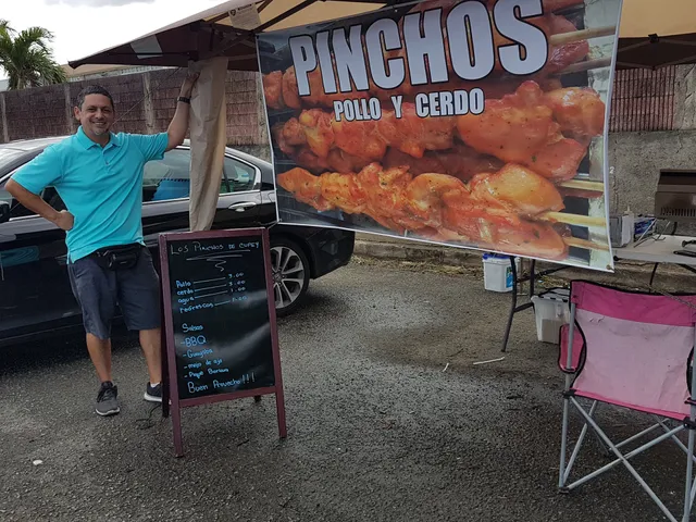 Taquitos de carnita y pollo