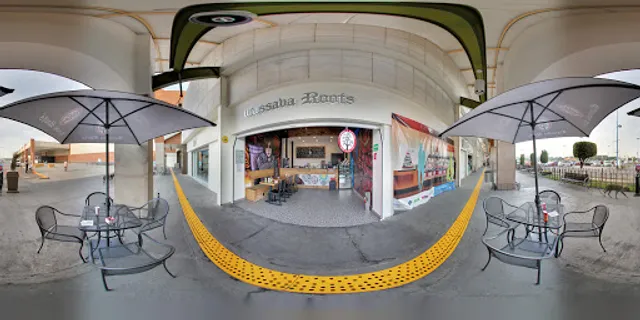 Cassava Roots Oriente