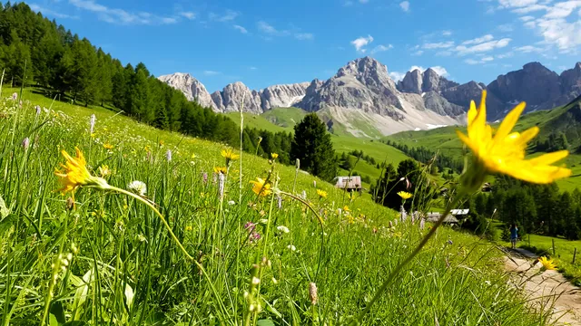 Dolomites Vertical Life