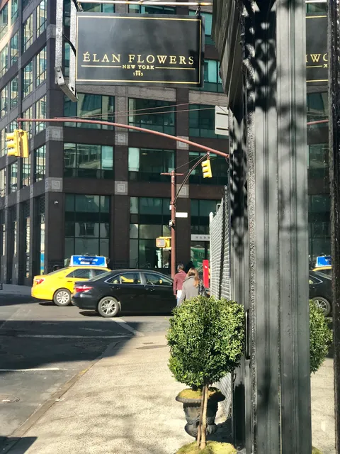 Élan Flowers