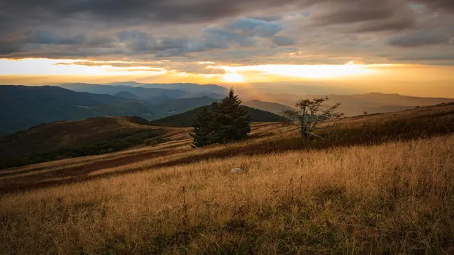 Whitetop Mountain Trailhead