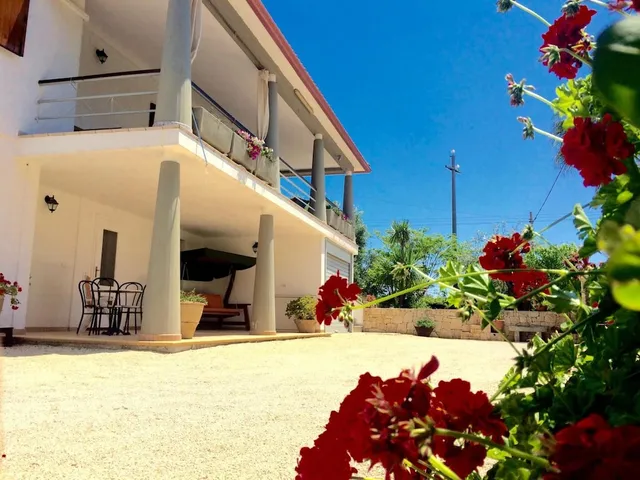 B&B All'ombra degli ulivi