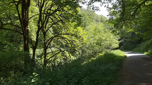 Honey Dew Creek Trailhead