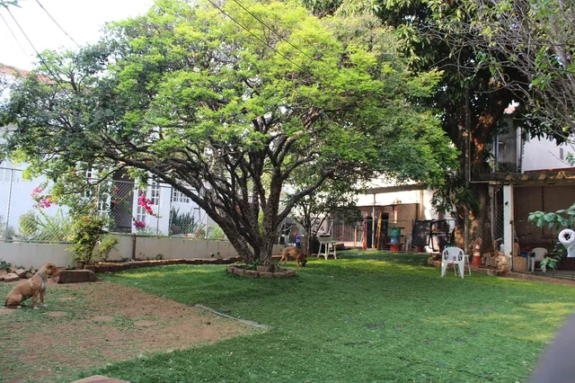 ExpertPet Adestramento Canino