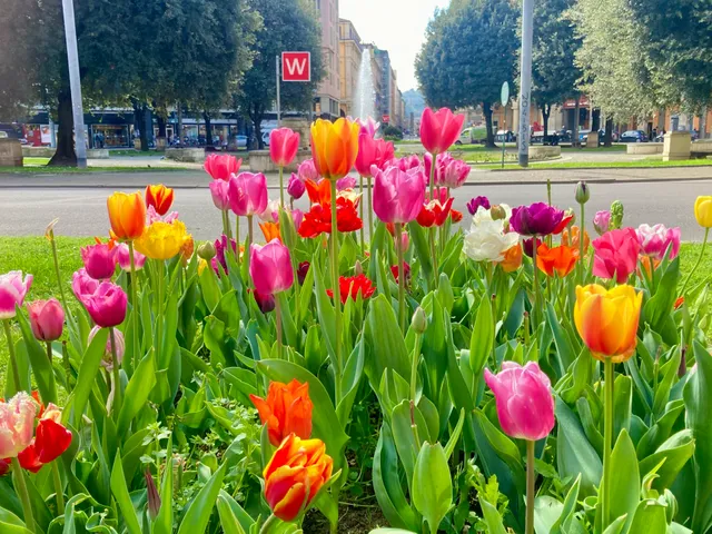 Residenza Piazza Dei Martiri 8
