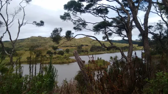 Woodhill Forest NMWoK Ngahere Ltd