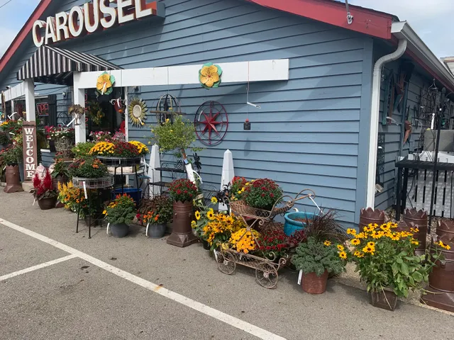 Carousel Floral Gifts & Garden